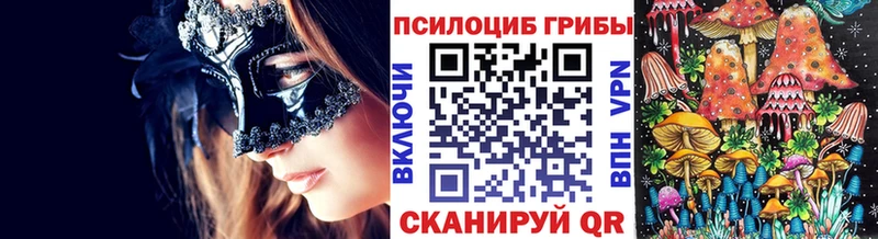 хочу   ссылка на мегу вход  Псилоцибиновые грибы Cubensis  Котово 